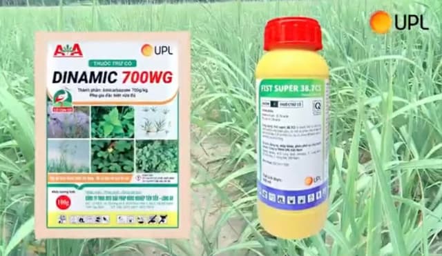 Hành Trình Diệt Cỏ Mía Dai Dẳng Và Giải Pháp Mới Từ Sự Chung Tay Của 2 Nhà UPL & A&A