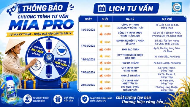 Vì sao nên phối hợp Mia Pro 37.5SL với Pyanchor 5EC (hoặc Mizin 80WP, Ansaron 500SC) khi ruộng lúa nhiều cỏ lồng vực, đuôi phụng?