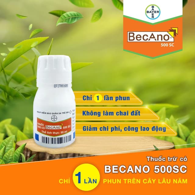 Indaziflam (Becano 500SC): Vì sao bị cho là làm chai đất, chống chỉ định với cây nho, đất dốc, đất cát?