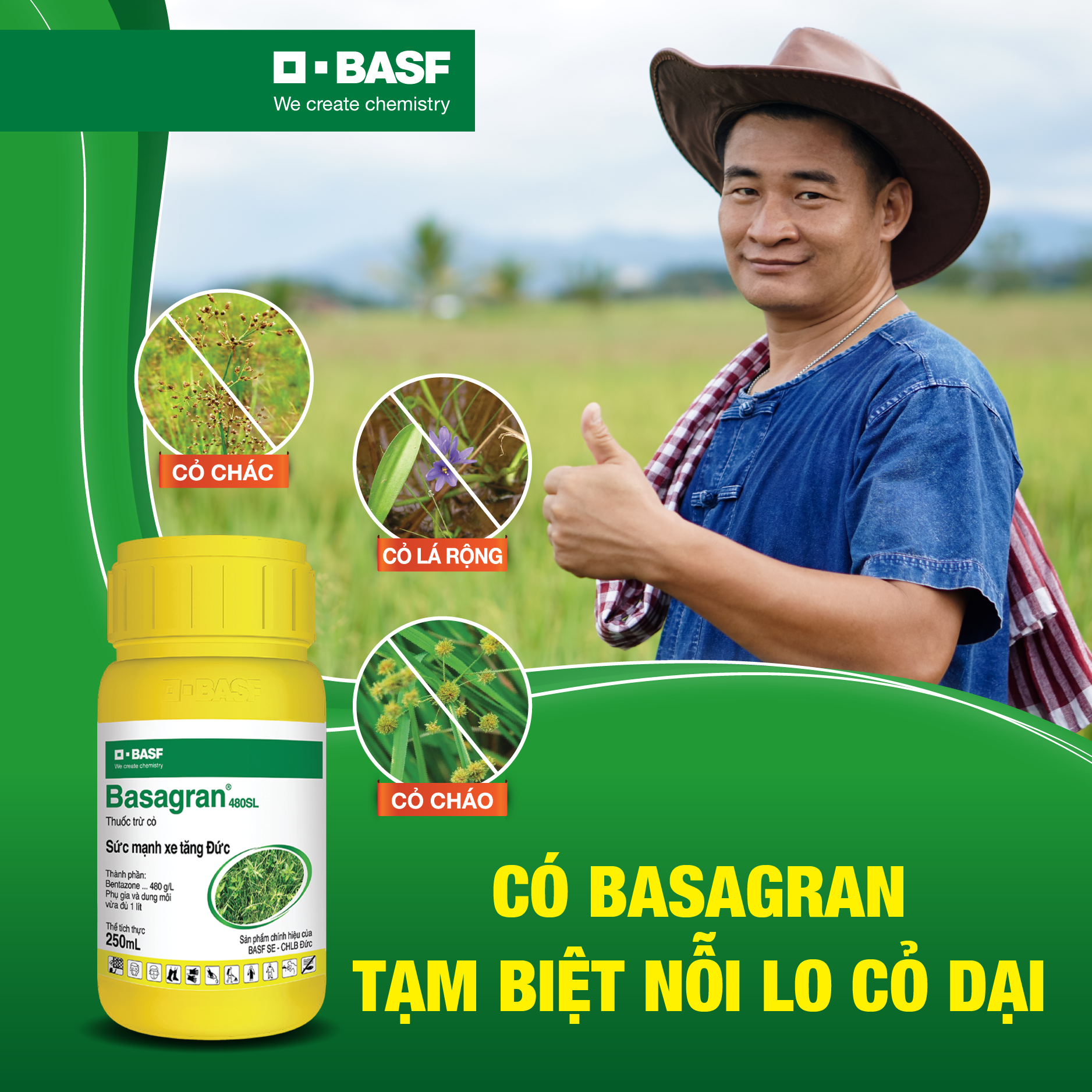 Basagran 480SL (BASF): Vì sao vẫn là lựa chọn số 1 dù thị trường tràn ngập thuốc Bentazone 480 g/L?