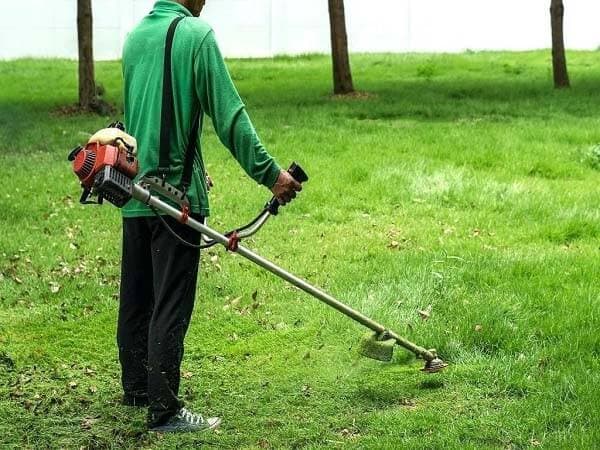 Hành Trình "Tiến Hóa" Của Các Kiểu Diệt Cỏ Từ Ngàn Xưa Đến Ngày Nay Ra Sao